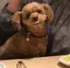 もろのプロフィール画像