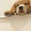 みなみのプロフィール画像