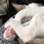 niのプロフィール画像