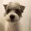 めいたろうのプロフィール画像
