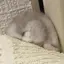 satoのプロフィール画像
