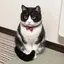 梨のプロフィール画像
