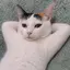 エリンのプロフィール画像