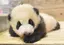 naのプロフィール画像