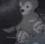 のんのプロフィール画像