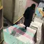 riのプロフィール画像