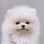 ゆのプロフィール画像