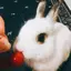 みかんのプロフィール画像