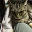 むぅのプロフィール画像
