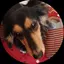 いちごのプロフィール画像