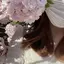 りこのプロフィール画像