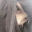 kahoのプロフィール画像