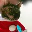まえだのプロフィール画像