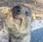 みゆのプロフィール画像