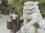 きのこのプロフィール画像