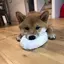 峻大のプロフィール画像