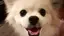 ☺︎のプロフィール画像