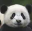 sachiのプロフィール画像