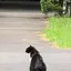 Yoshinoのプロフィール画像