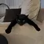 rinのプロフィール画像