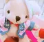 もっちのプロフィール画像