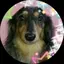 ﾒｸﾞ⭐のプロフィール画像