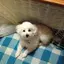 ななのプロフィール画像