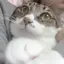 Moe.のプロフィール画像