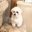 ROYのプロフィール画像