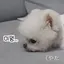 Sのプロフィール画像