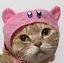 hinaのプロフィール画像