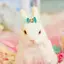 Haruのプロフィール画像