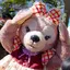 ときこのプロフィール画像