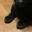 さっこのプロフィール画像