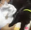 AIRIのプロフィール画像