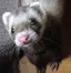 のぞみのプロフィール画像