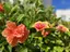 ユミのプロフィール画像