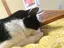 ゆきののプロフィール画像