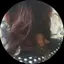 ようこのプロフィール画像