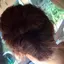 ノンよしのプロフィール画像