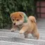 taichiのプロフィール画像