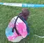 ゆめのプロフィール画像