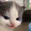 そらのプロフィール画像