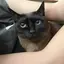 月のプロフィール画像