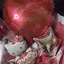 PRINのプロフィール画像