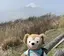 reipoohのプロフィール画像