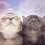 なのぴぴのプロフィール画像