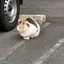 ゆーかのプロフィール画像