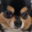 ゆいのプロフィール画像