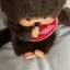 🐈⬛🎀のプロフィール画像